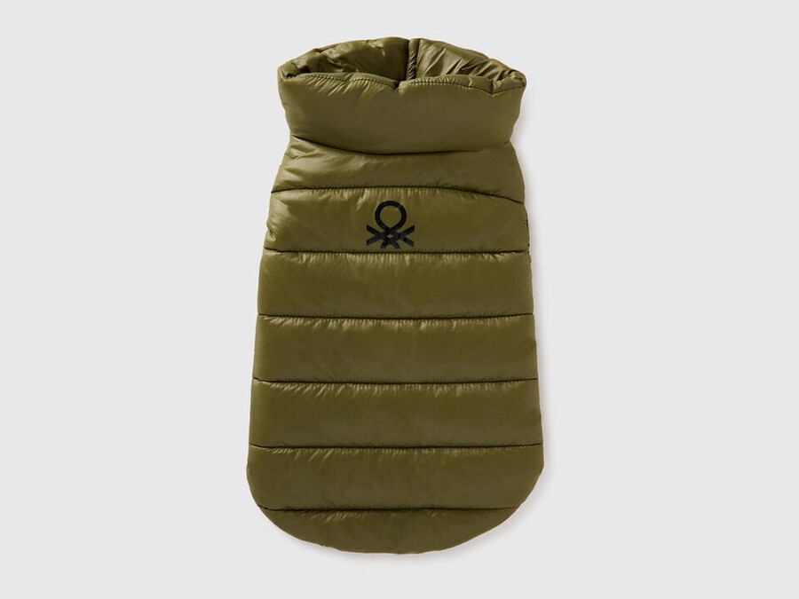 grüne steppjacke für hunde