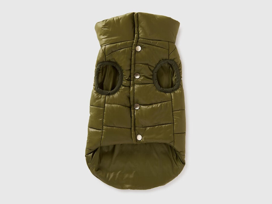 grüne steppjacke für hunde