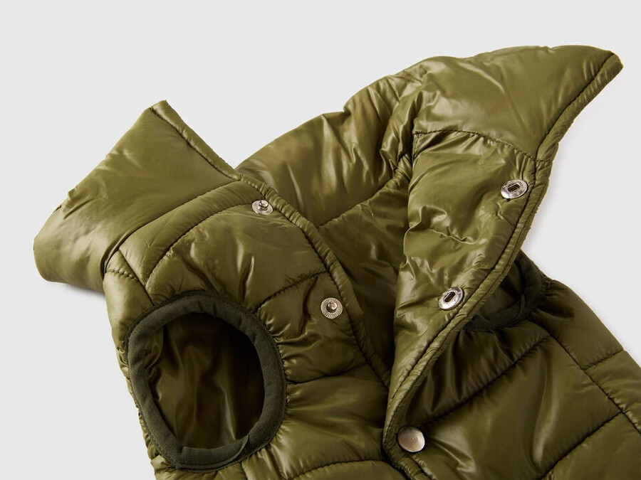 grüne steppjacke für hunde