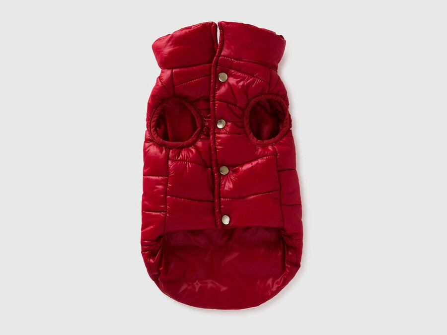 erdbeerrote steppjacke für hunde